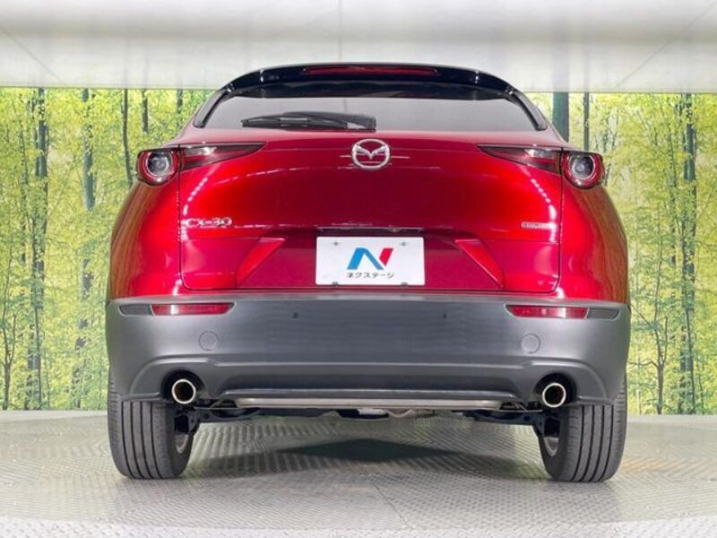 CX-30