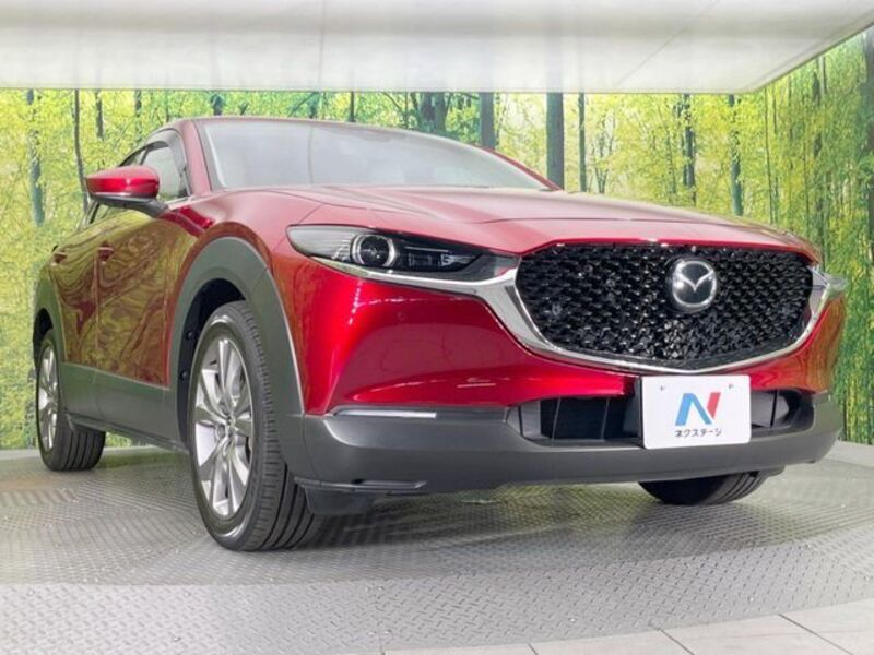CX-30