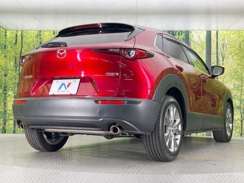 CX-30