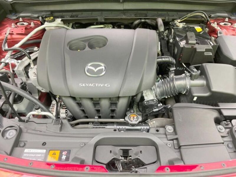 CX-30