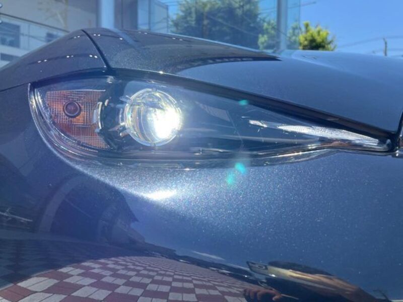ROADSTER
