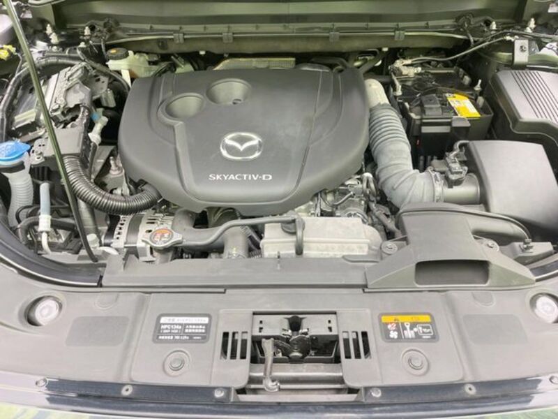 CX-8