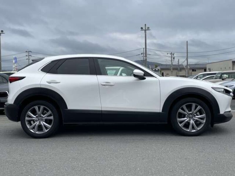 CX-30