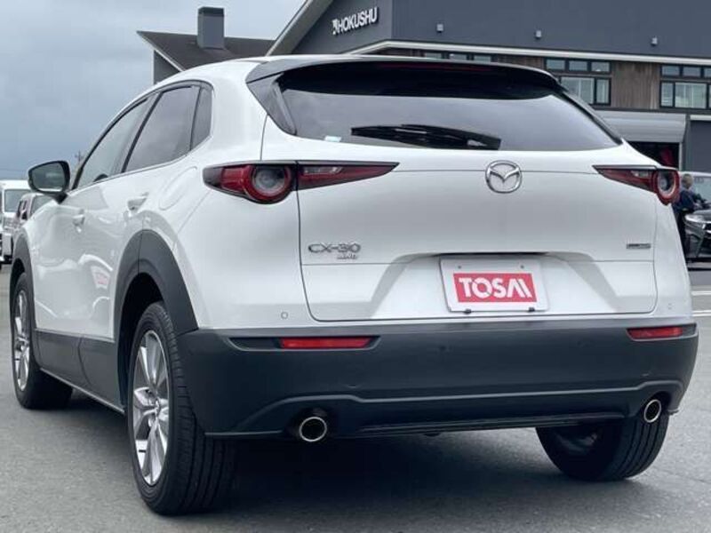 CX-30