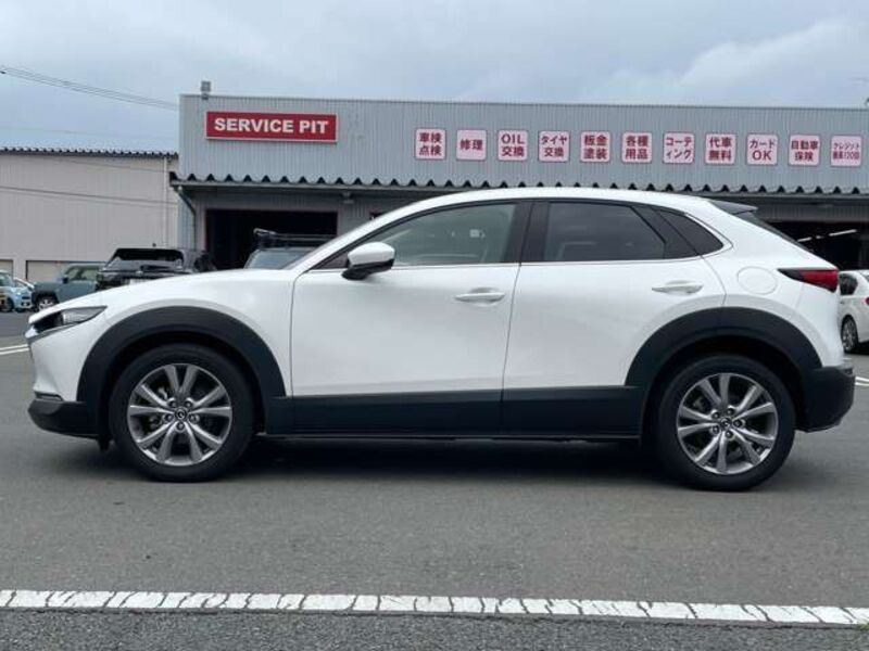 CX-30