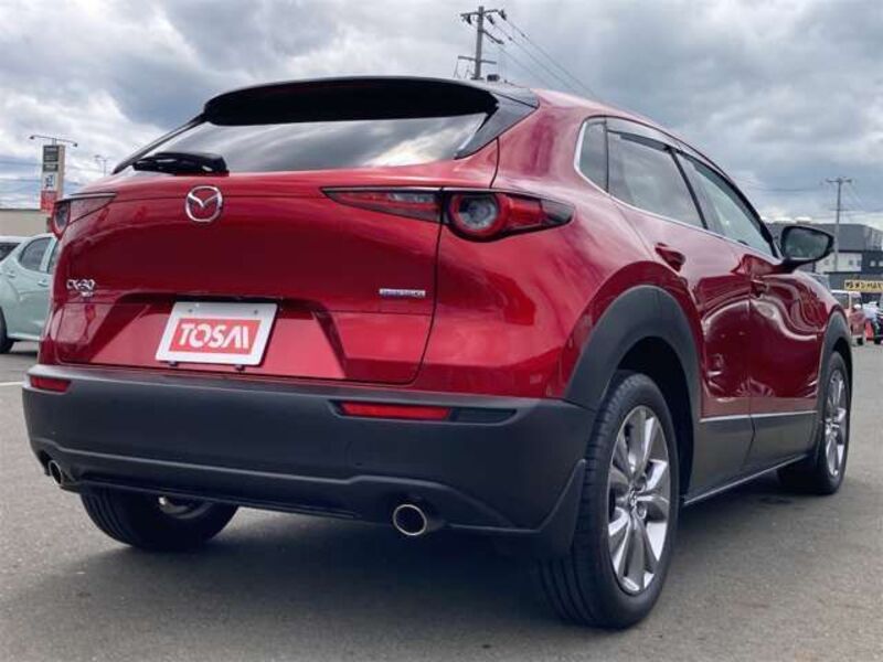 CX-30