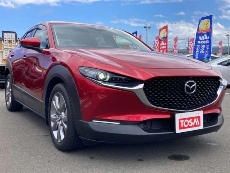 CX-30