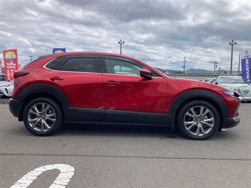 CX-30