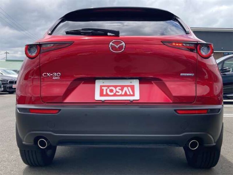 CX-30