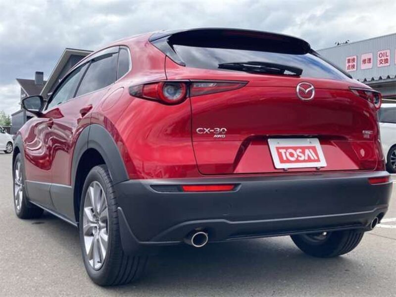 CX-30