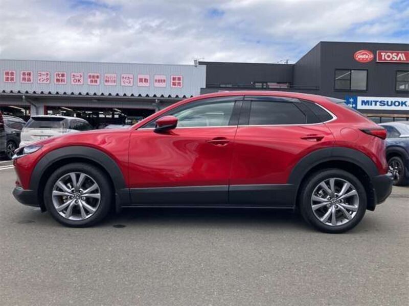 CX-30