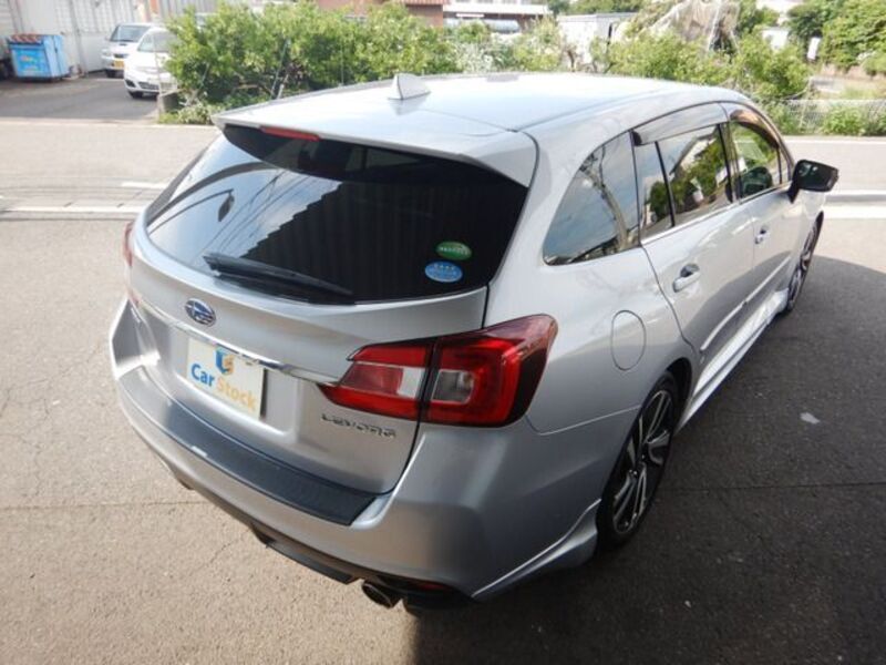 LEVORG
