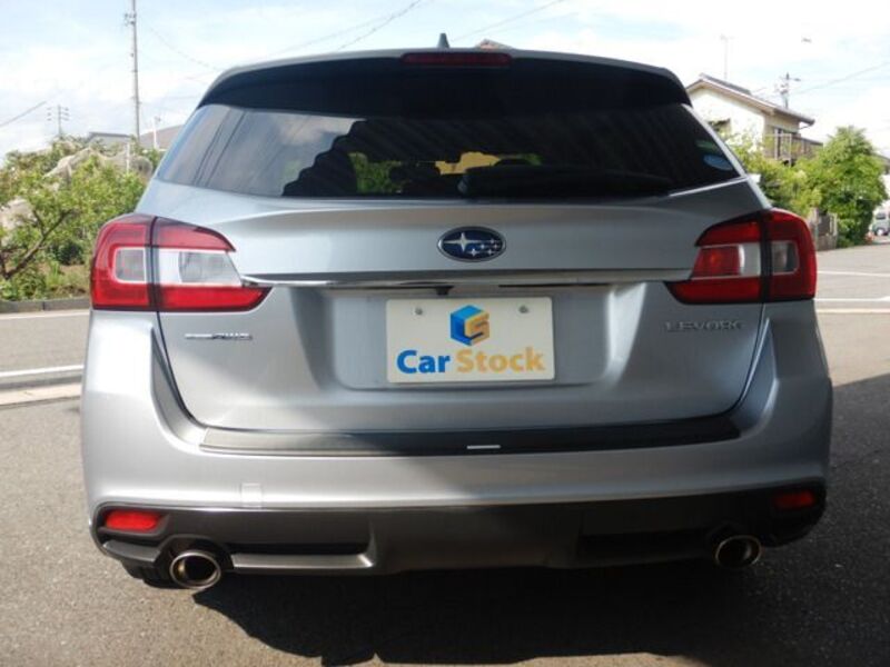 LEVORG