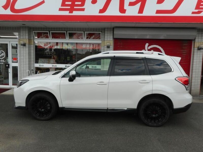 FORESTER
