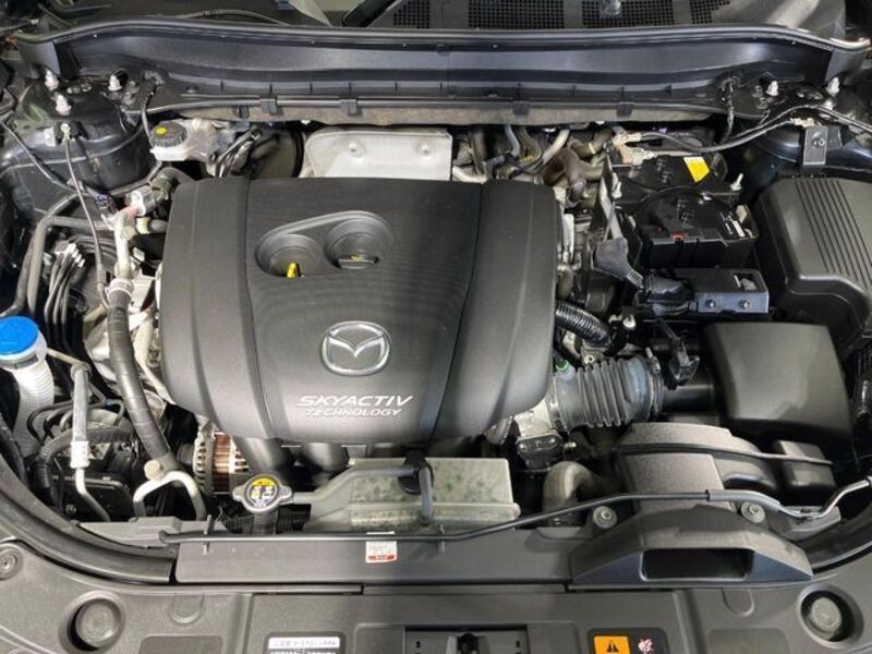 CX-8