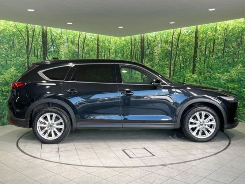 CX-8