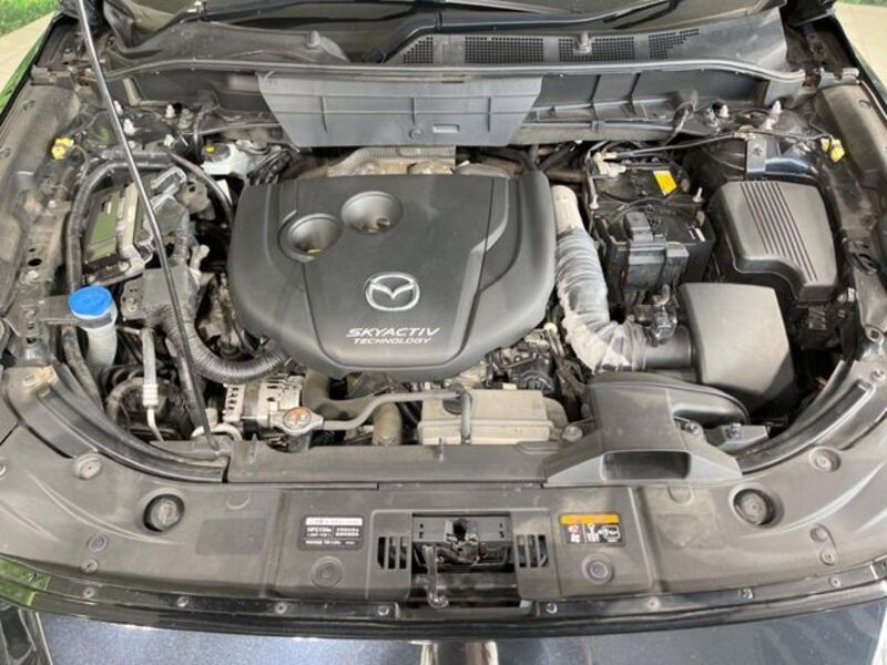 CX-8