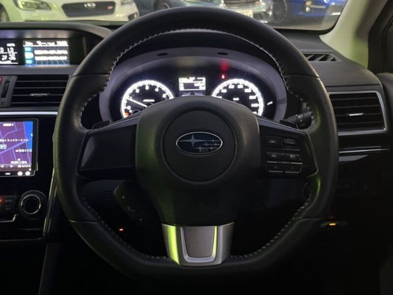 LEVORG