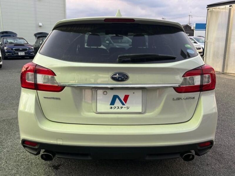 LEVORG