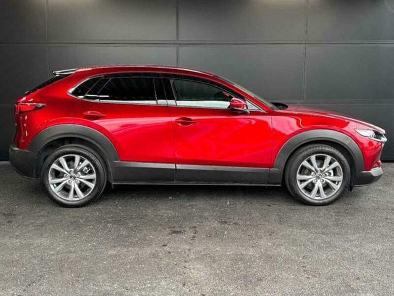 CX-30