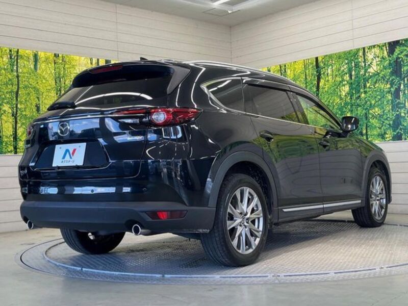 CX-8
