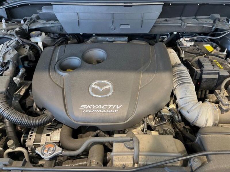 CX-8