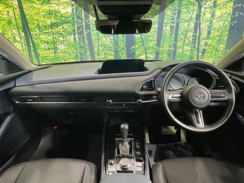 CX-30