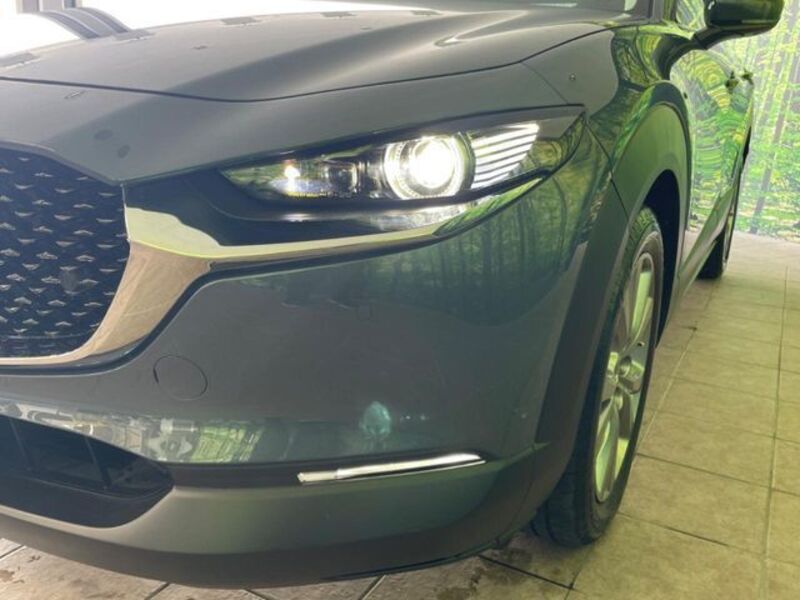 CX-30