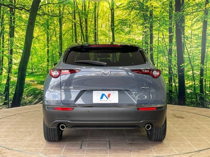 CX-30