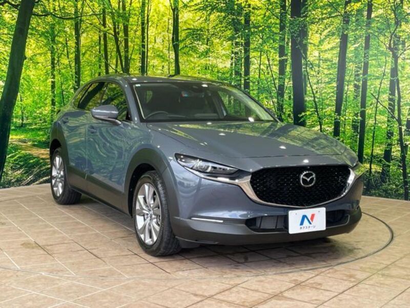 CX-30