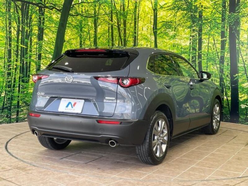CX-30