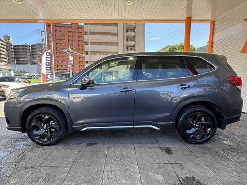 FORESTER