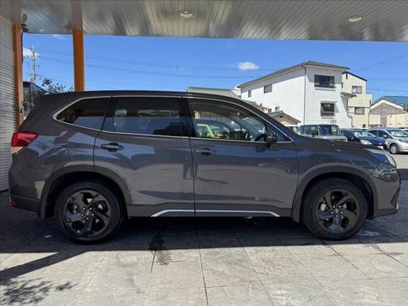FORESTER