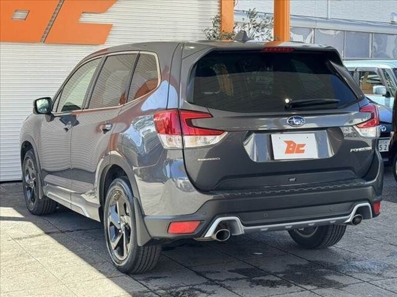 FORESTER