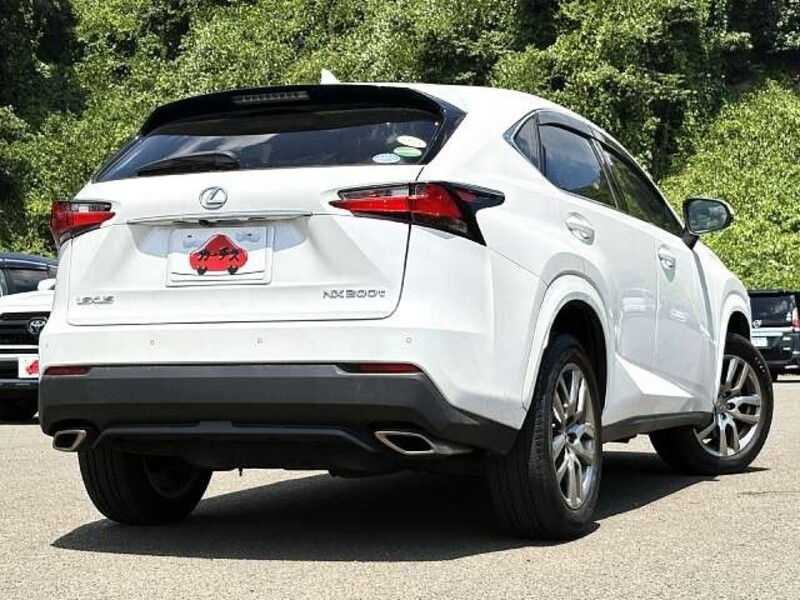 NX