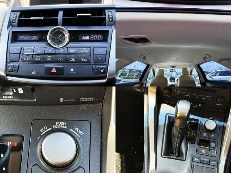 NX