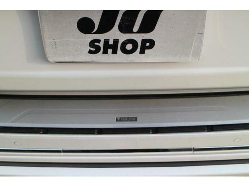 LAND CRUISER