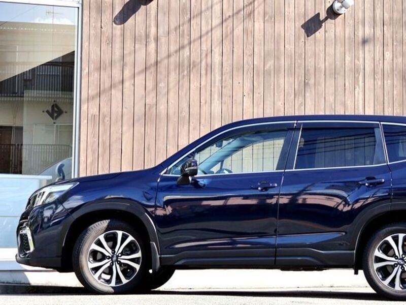 FORESTER