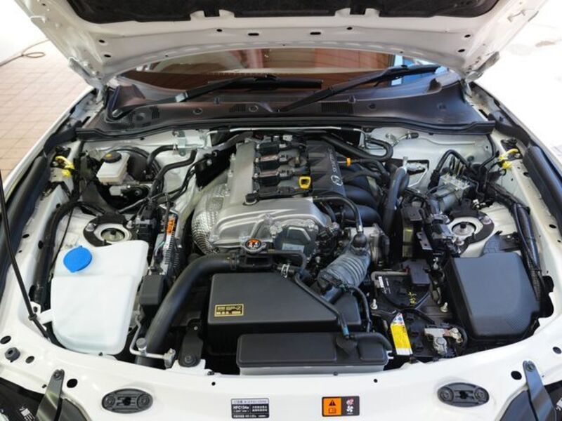 ROADSTER RF