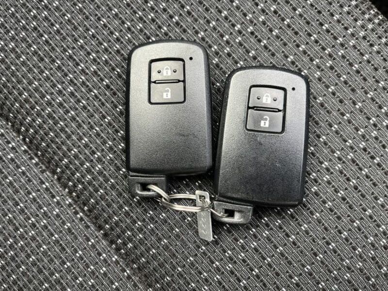 AURIS HYBRID