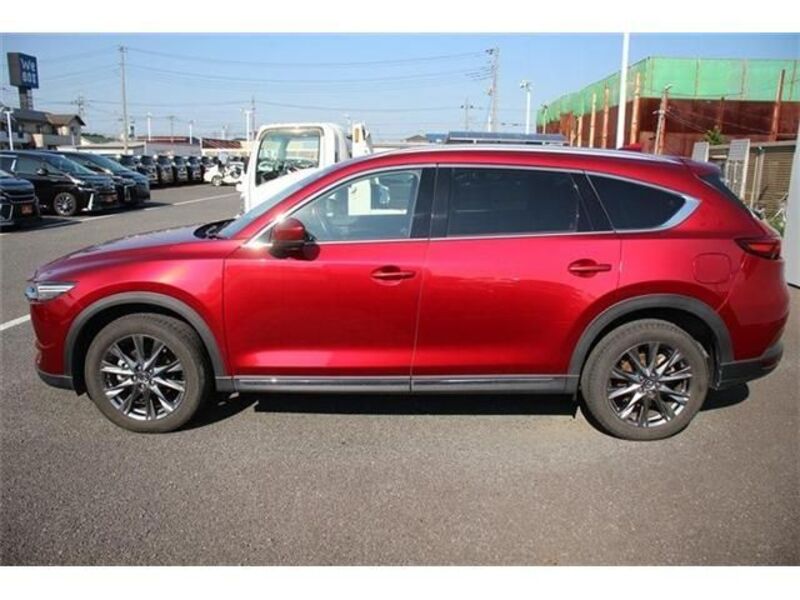 CX-8