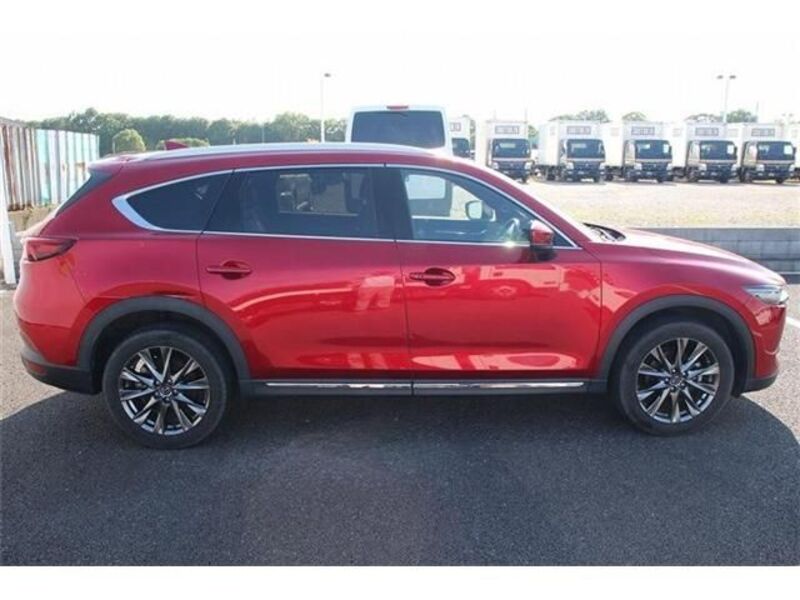 CX-8