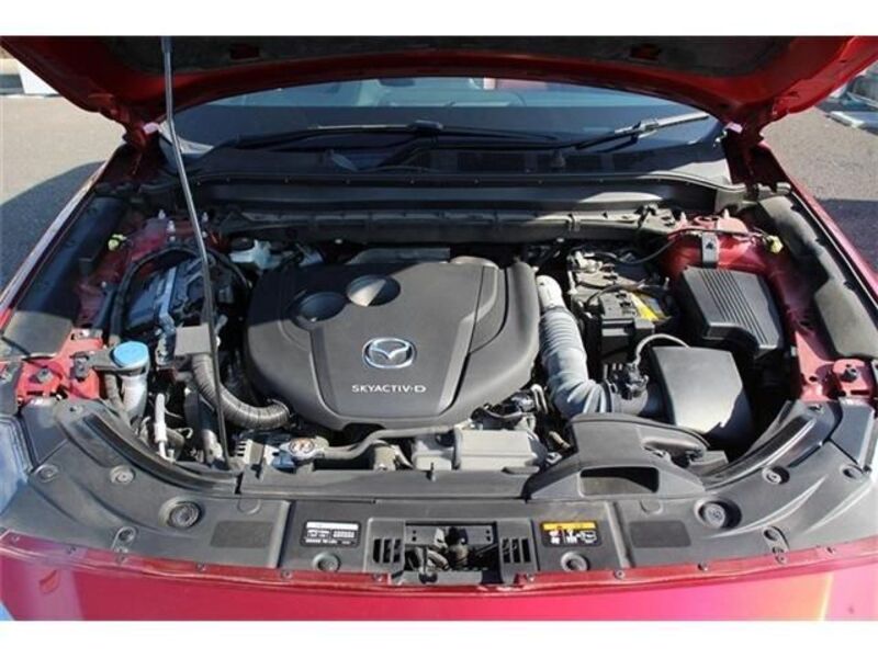 CX-8