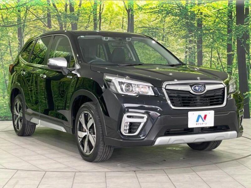 FORESTER