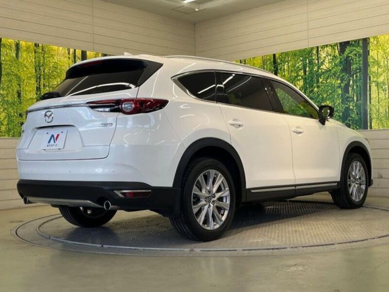 CX-8