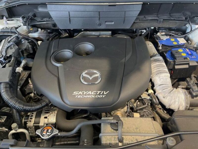 CX-8