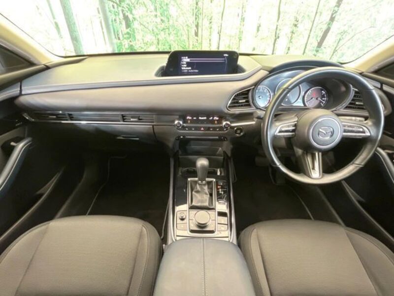 CX-30
