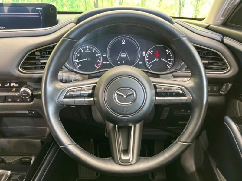 CX-30