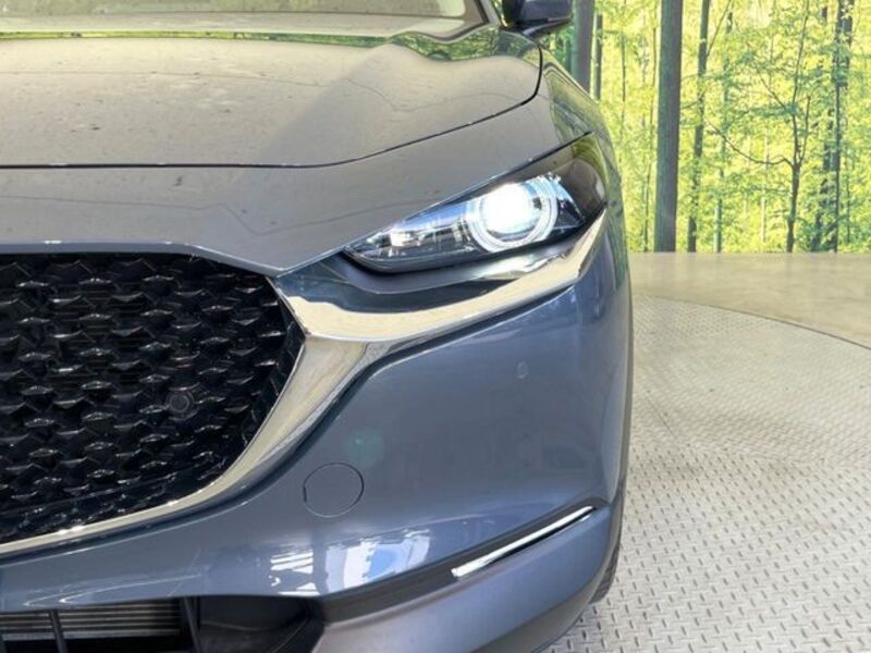CX-30