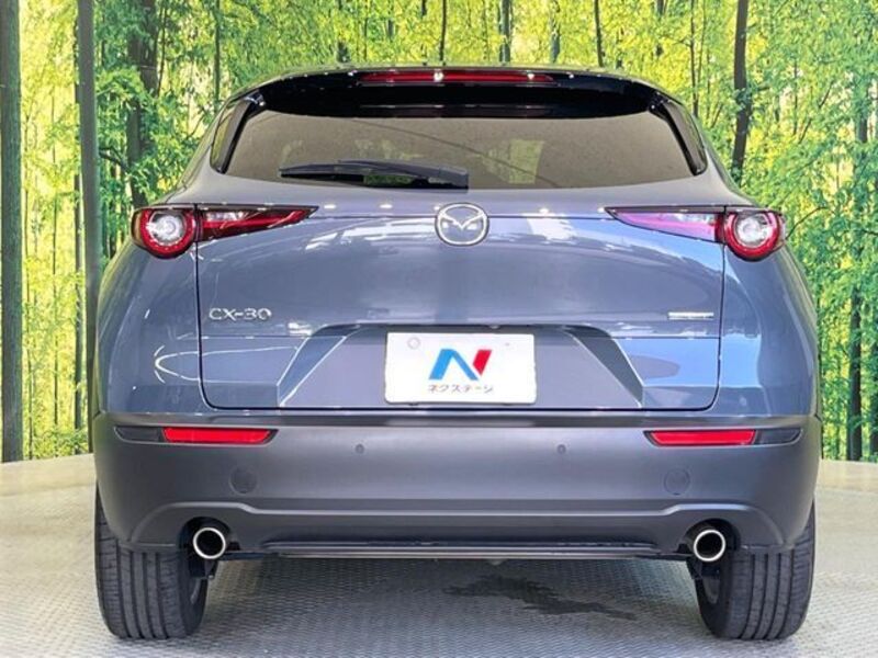 CX-30